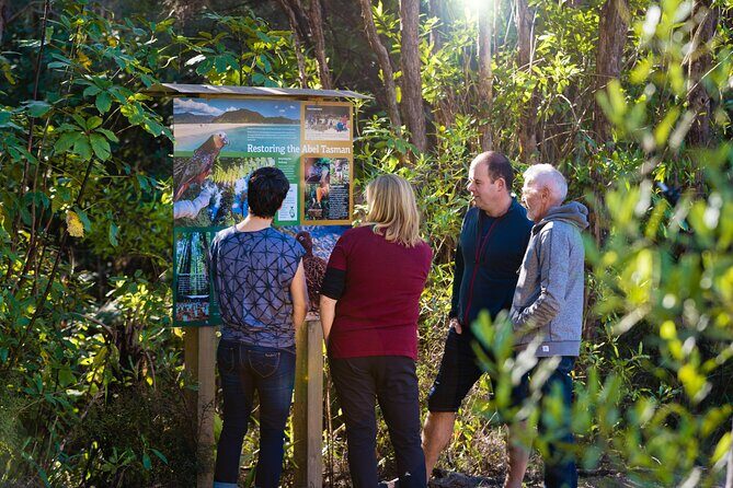 Heli-Scenic Abel Tasman Experience - The Sum Up: Is It Worth It?