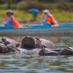 Hells Gate National Park & Lake Naivasha Boat Ride - The Geothermal Wonders and Gorges