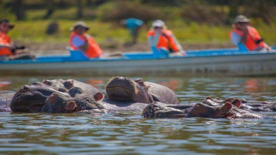 Hells Gate National Park & Lake Naivasha Boat Ride - The Geothermal Wonders and Gorges