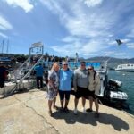 Hermanus: Whale Watching Tour with Penguin Colony Visit - Whale Watching: The Main Event