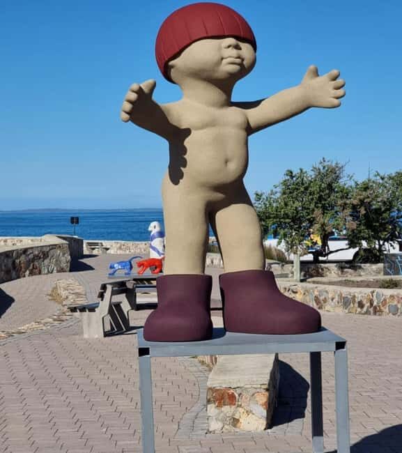 Hermanus: Whale Watching Tour - The Itinerary In-Depth