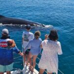 Hervey Bay Overnight Whale Watching Cabin Hire - The Experience: An Intimate Marine Adventure