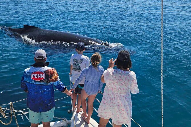 Hervey Bay Overnight Whale Watching Cabin Hire - The Experience: An Intimate Marine Adventure