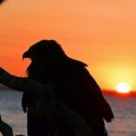 Hervey Bay: Relaxing Sunset Cruise with Champagne and Prawns - Authenticity and Comfort