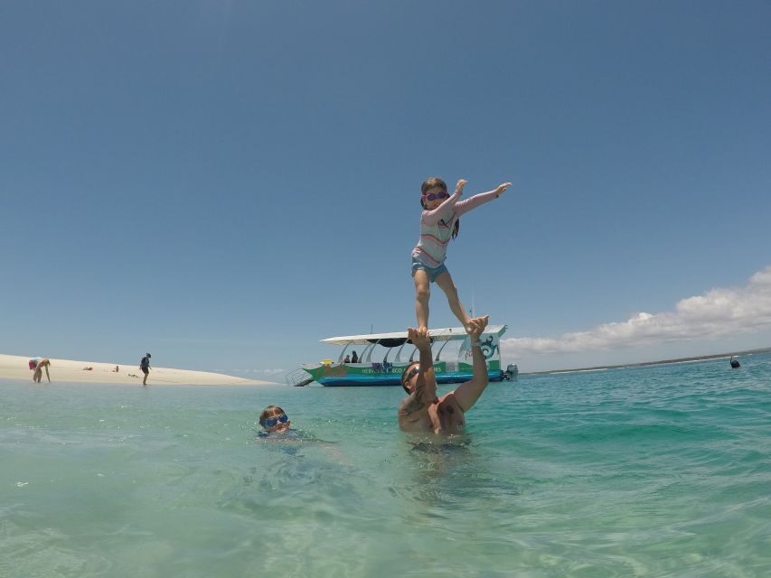 Hervey Bay: Turtle Discovery Eco Tour - The Itinerary: What to Expect