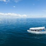 Hervey Bay Ultimate Whale Watching Cruise - Why This Tour Is a Solid Choice