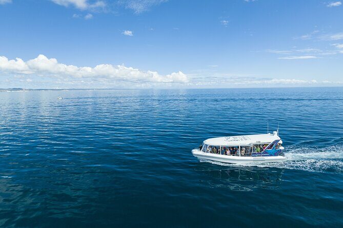 Hervey Bay Ultimate Whale Watching Cruise - Why This Tour Is a Solid Choice