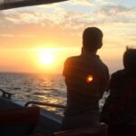 Hervey Bay: Ultimate Whale Watching Experience - The Itinerary Breakdown