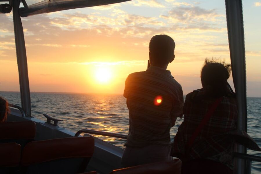 Hervey Bay: Ultimate Whale Watching Experience - The Itinerary Breakdown