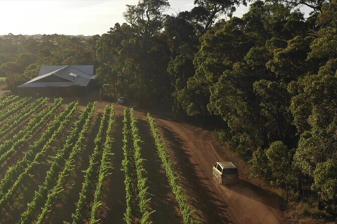 Hidden Gems: Full-Day Wine, Scones, Lunch and Local Produce Tour - What We Love About This Tour