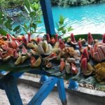 Hideaway Island Escape, Blue Lagoon and Turtle Experience - Practical Tips for Travelers