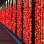 Highlights of Canberra Full Day Tour - Transport & Comfort