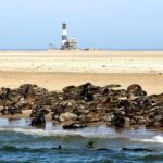 Highlights of Walvis Bay Private Tour - Why This Tour Offers Great Value