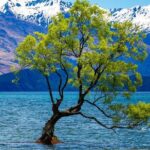 Highlights of Wanaka Scenic Shuttle Tour from Queenstown - Analyzing Value and Practical Aspects