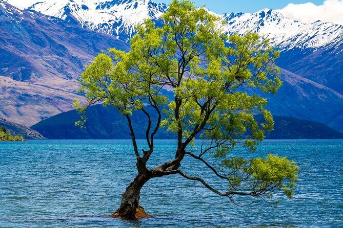 Highlights of Wanaka Scenic Shuttle Tour from Queenstown - Analyzing Value and Practical Aspects