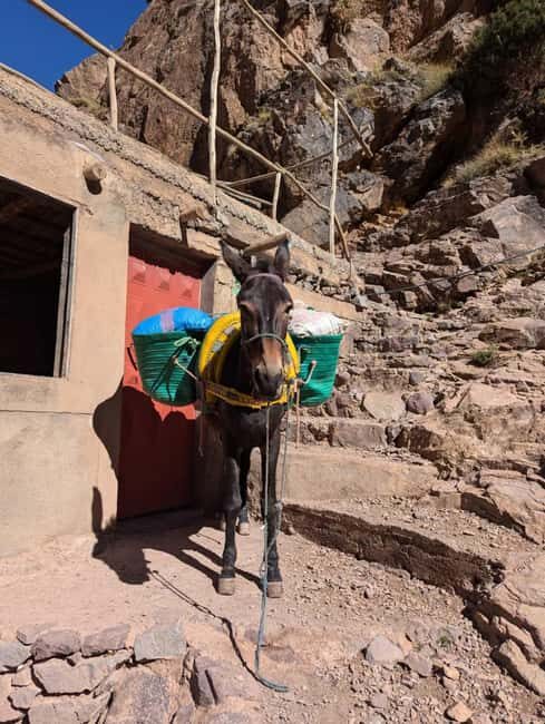 Hike Mount Toubkal: Conquer North Africa's Highest Peak - The Practical Side: What to Expect