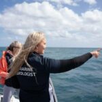 Hillarys Boat Harbour 2-Hour Whale Watching Cruise - 09:00am - Why This Tour Offers Great Value