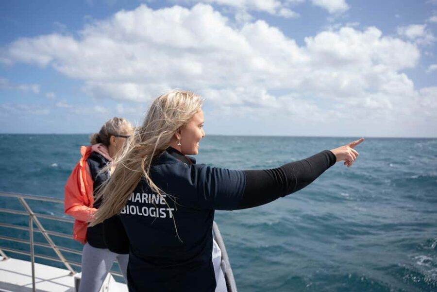 Hillarys Boat Harbour 2-Hour Whale Watching Cruise - 09:00am - Why This Tour Offers Great Value