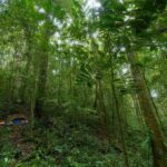 Historic, Natural Wonders: Zaina Falls & Mau Mau Cave Hike - Practical Tips and What to Bring