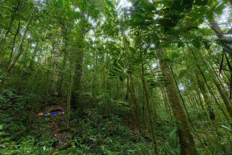 Historic, Natural Wonders: Zaina Falls & Mau Mau Cave Hike - Practical Tips and What to Bring