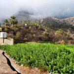 History & Nature Trail - Nakhal & Wakan Village - The Nuts and Bolts of the Experience