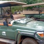 Hlane: Rhino Walk, Game Drive & Wilderness Picnic - The Cultural Element: Manzini Market