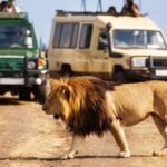 Hluhluwe Imfolozi Big 5 Full Day Tour from Durban - The Practical Details