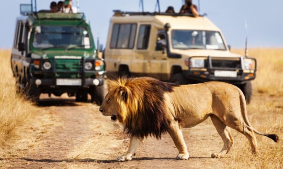 Hluhluwe Imfolozi Big 5 Full Day Tour from Durban - The Practical Details