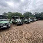 Hluhluwe Imfolozi Safari including Open Vehicle Game Drive - What We Like About the Tour