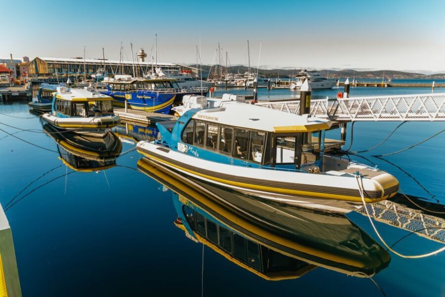 Hobart: 2.5-hour Iron Pot Lighthouse Cruise - What You’ll Love and What to Consider