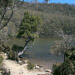 Hobart Adventurer Day Tour | Amazing Views & Native Wildlife - Midday in New Norfolk