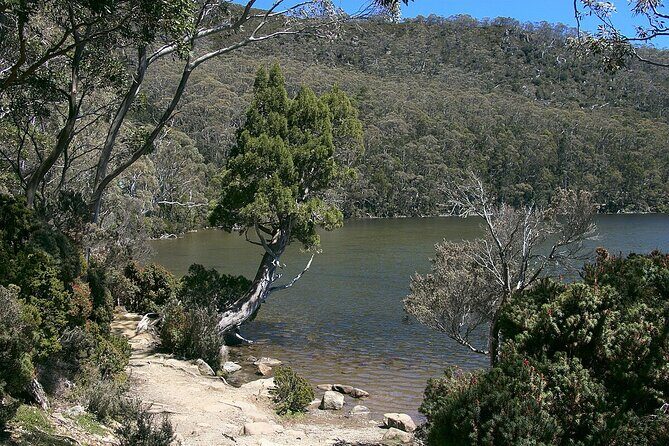 Hobart Adventurer Day Tour | Amazing Views & Native Wildlife - Midday in New Norfolk