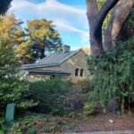 Hobart Attractions Bus: HOBART SHORE EXCURSION - The Overall Experience: Pros and Cons