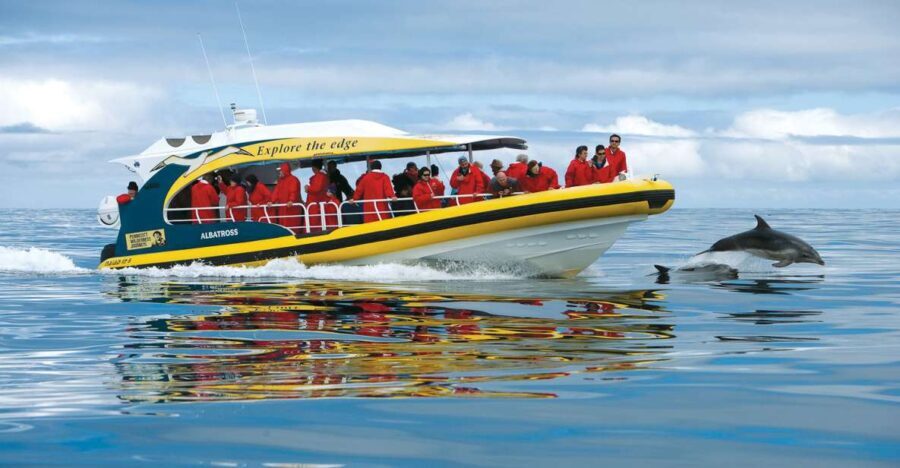 Hobart: Bruny Island Wilderness Coast Eco Cruise with Lunch - Why This Tour Offers Great Value