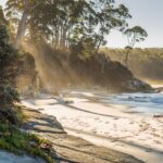 Hobart: Day Trip to Mt Wellington and MONA with Ferry Ride - What You Can Expect from This Hobart Day Trip