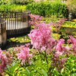 Hobart: Full-Day Bonorong Wildlife Sanctuary & Richmond Tour - The Itinerary Breakdown