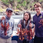 Hobart: Full-Day Tasmania Gourmet Seafood Cruise - Who Should Book This Tour?