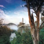 Hobart: Hastings Cave, Tahune Airwalk and Huon Tasting Trail - What Makes This Tour Special