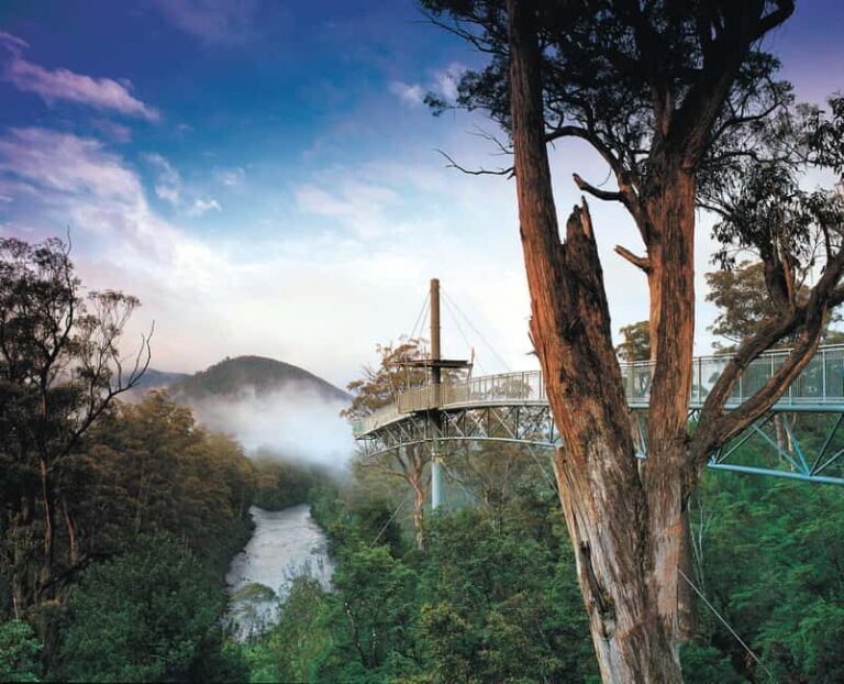 Hobart: Hastings Cave, Tahune Airwalk and Huon Tasting Trail - What Makes This Tour Special