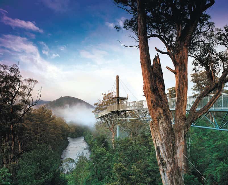 Hobart: Hastings Cave, Tahune Airwalk and Huon Tasting Trail - What Makes This Tour Special