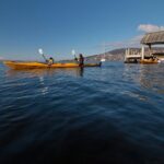 Hobart Kayak Tour - What to Expect: A Breakdown of the Tours