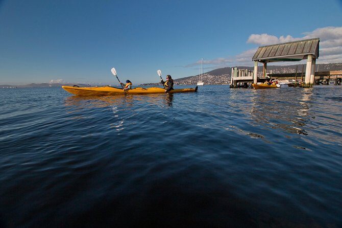 Hobart Kayak Tour - What to Expect: A Breakdown of the Tours