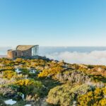 Hobart: Mt Wellington, Mt Field, Bonorong and Richmond Trip - What Makes This Tour a Top Choice?