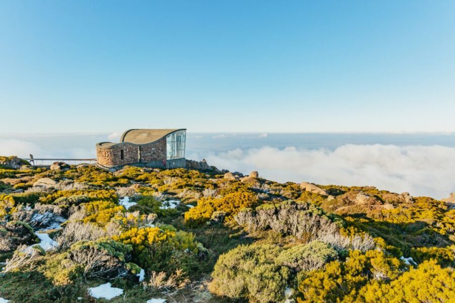Hobart: Mt Wellington, Mt Field, Bonorong and Richmond Trip - What Makes This Tour a Top Choice?