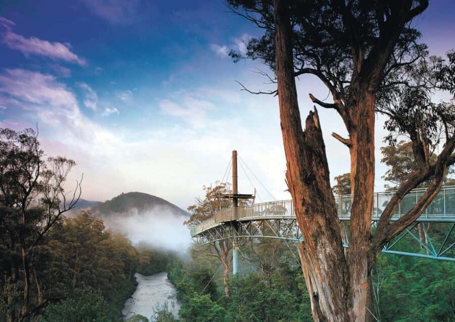 Hobart: Port Arthur, Bruny, Hastings, and Tahune 4-Day Trip - Transportation and Logistics