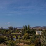 Hobart: Port Arthur, Richmond & Tassie Devil - Active Tour - A Full Breakdown of the Experience