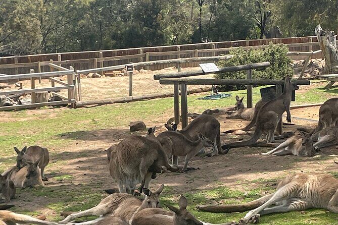 Hobart Signature Shore Excursion Small Group - What’s Included & What to Consider