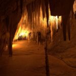 Hobart: Tahune Airwalk & Hastings Caves - Active Day Tour - Who Will Love This Tour