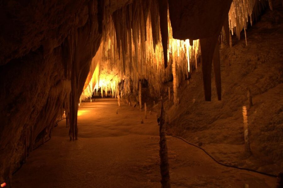 Hobart: Tahune Airwalk & Hastings Caves - Active Day Tour - Who Will Love This Tour