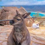 Hobart: Wineglass Bay, Freycinet Park, and Richmond Tour - Transportation, Group Size, and Price
